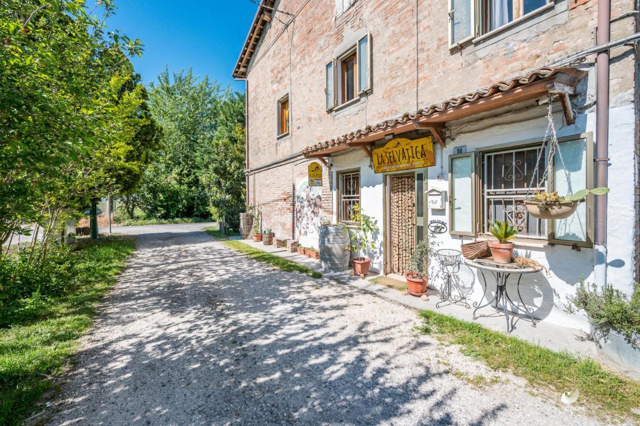 Selvatica50 B&B Nonantola Экстерьер фото