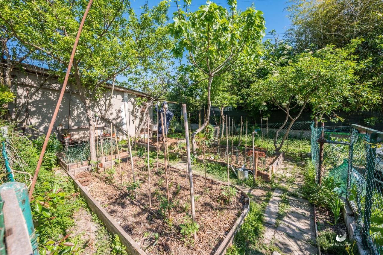Selvatica50 B&B Nonantola Экстерьер фото