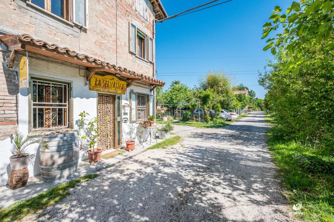 Selvatica50 B&B Nonantola Экстерьер фото