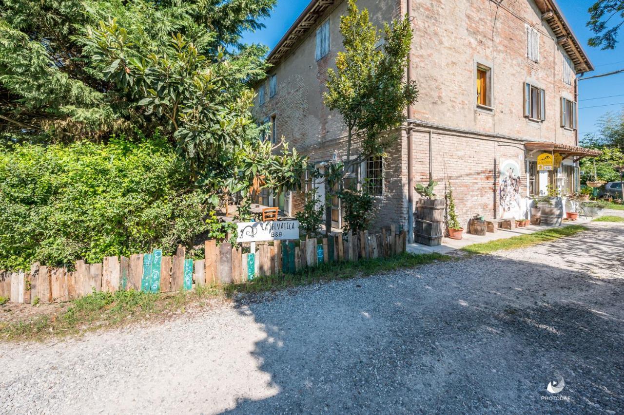 Selvatica50 B&B Nonantola Экстерьер фото